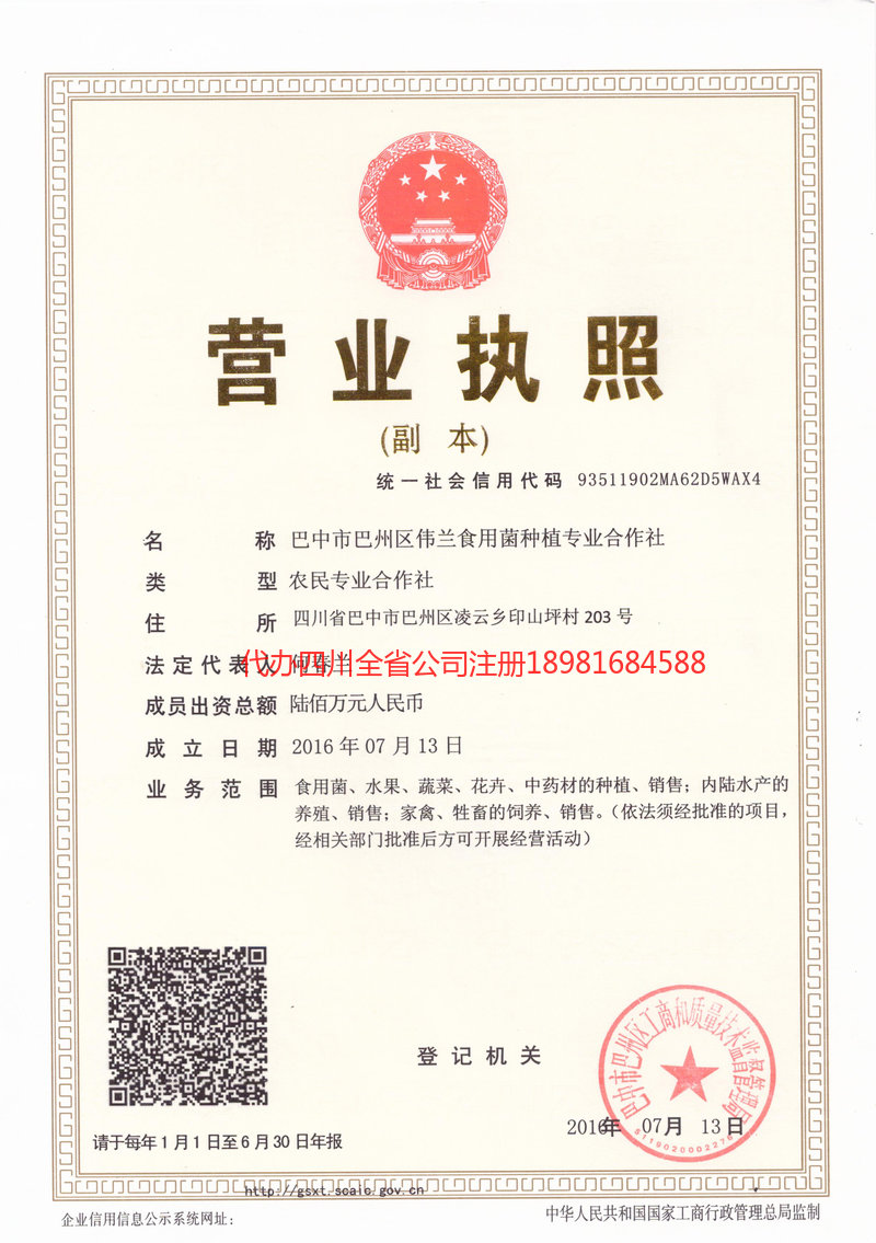 榆树榆树伟兰食用菌种植专业合作社